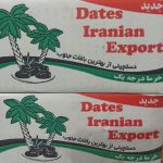 خرما کبکاب صادراتی ایران شیره دار و تازه محلی جهرم